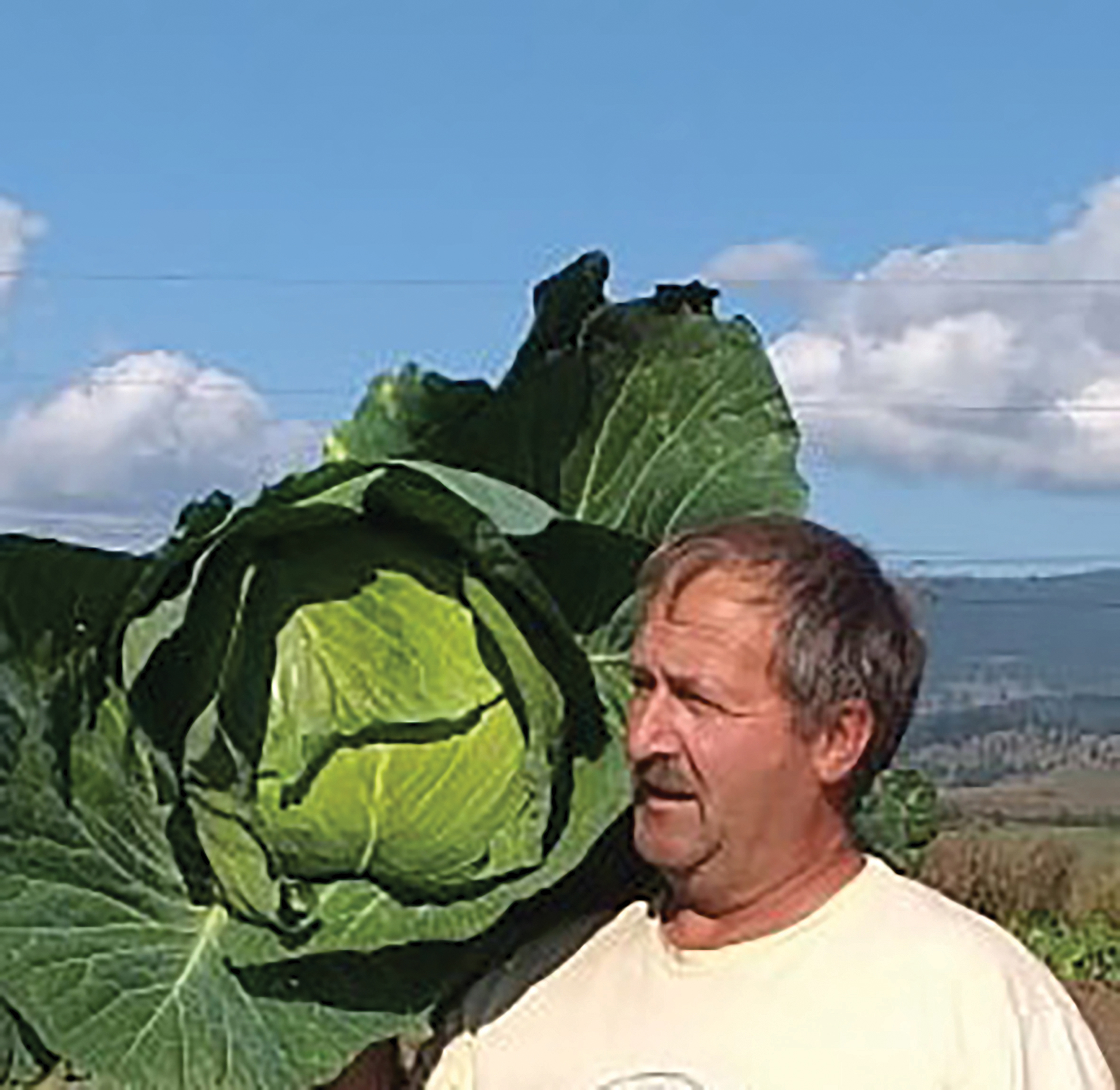 Lukács Géza